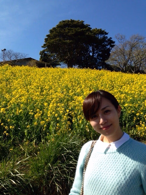 히가 마나미 HD 이미지/사진 갤러리 다운로드 #6747722
