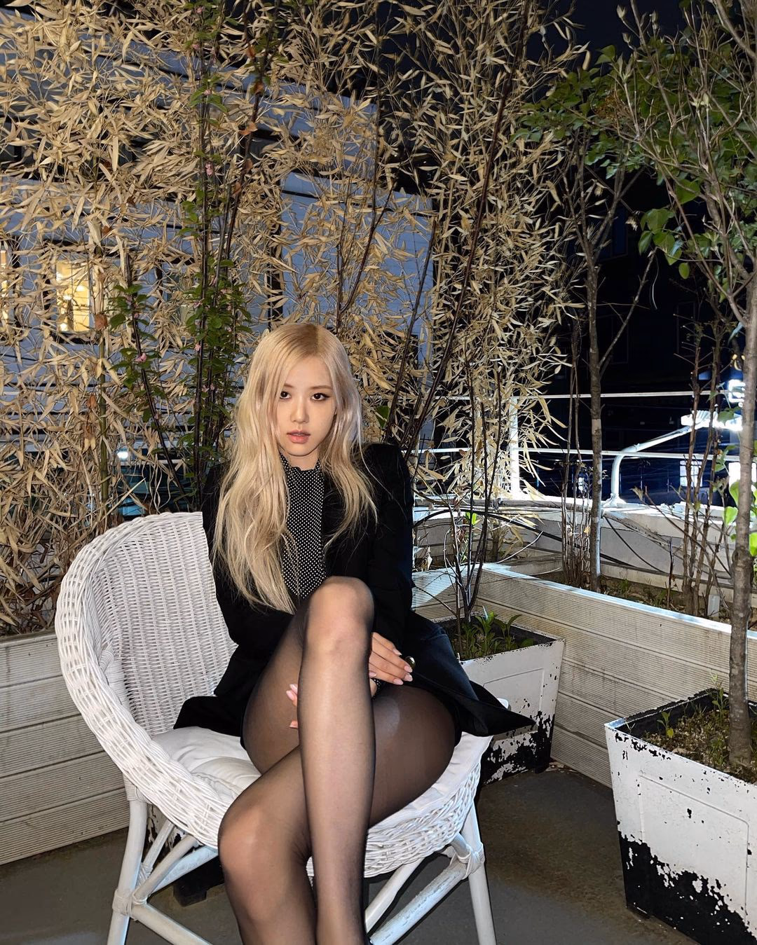 Rosé HD Images/Photo Gallery Download #6031420