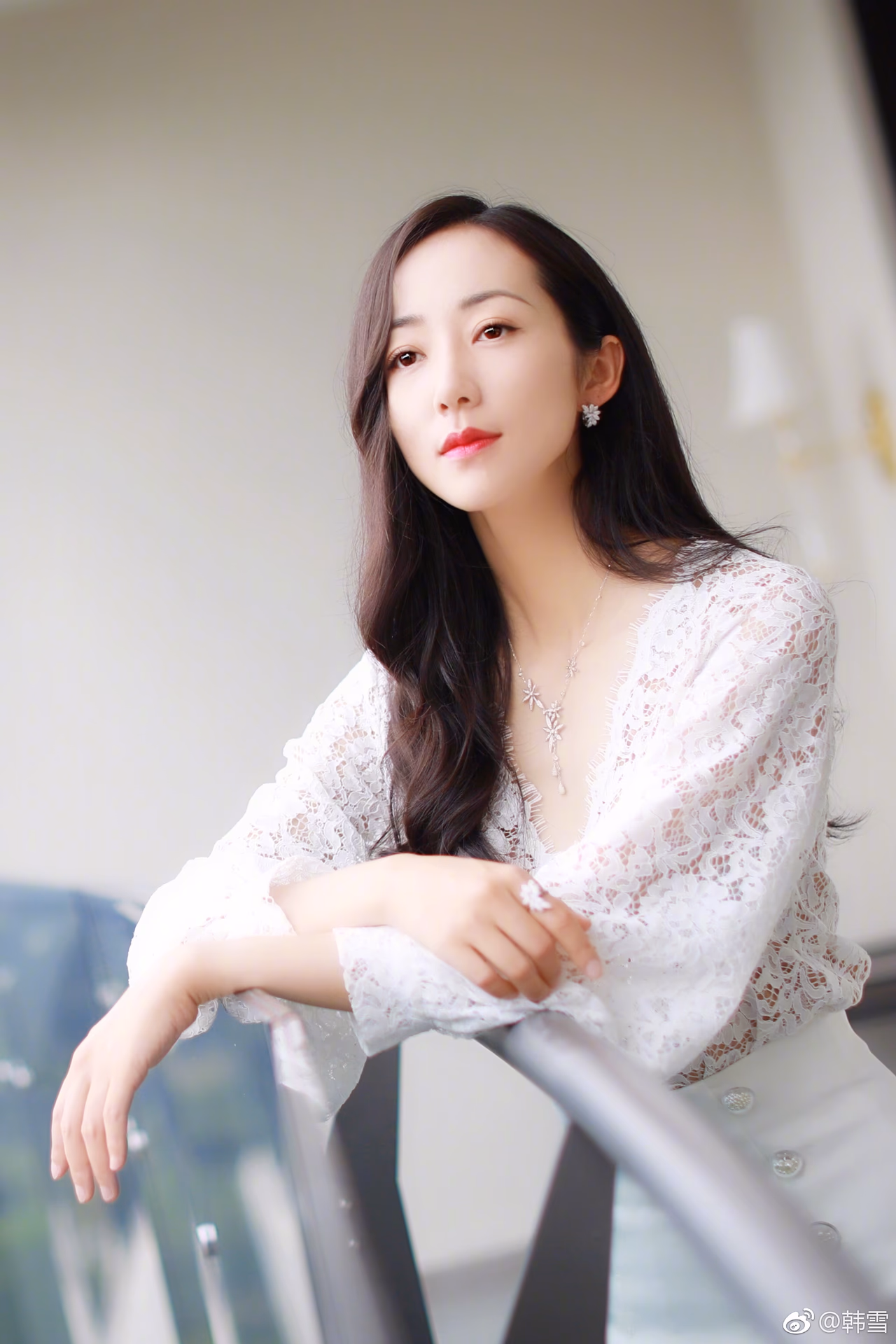 한쉐 HD 이미지/사진 갤러리 다운로드 #6718076