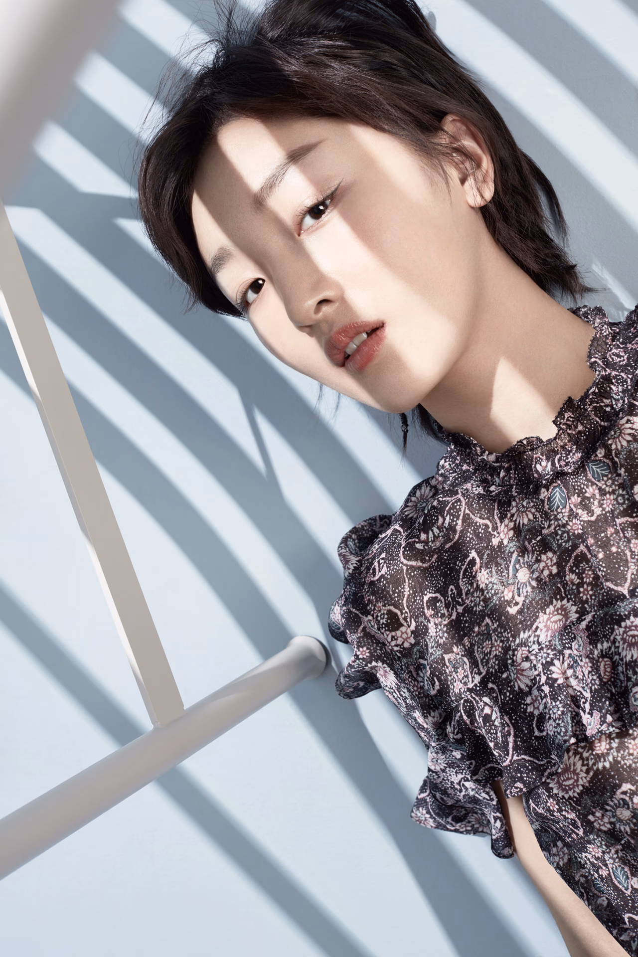 Dongyu Zhou HD画像/フォトギャラリーダウンロード #1909161