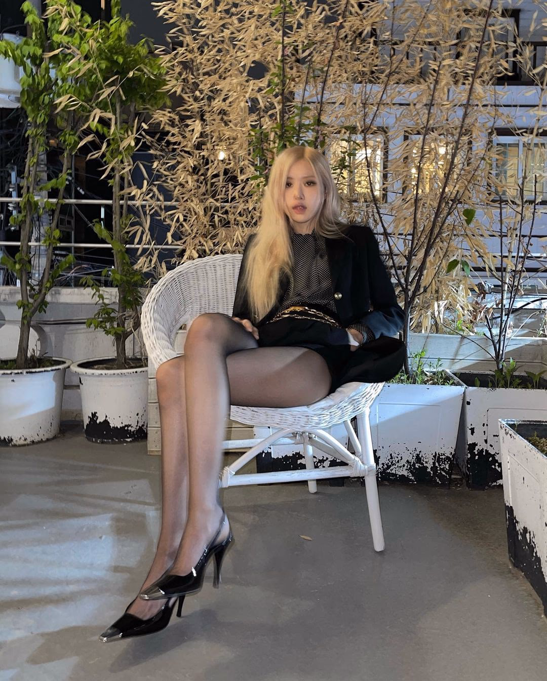 Rosé HD Images/Photo Gallery Download #6031425