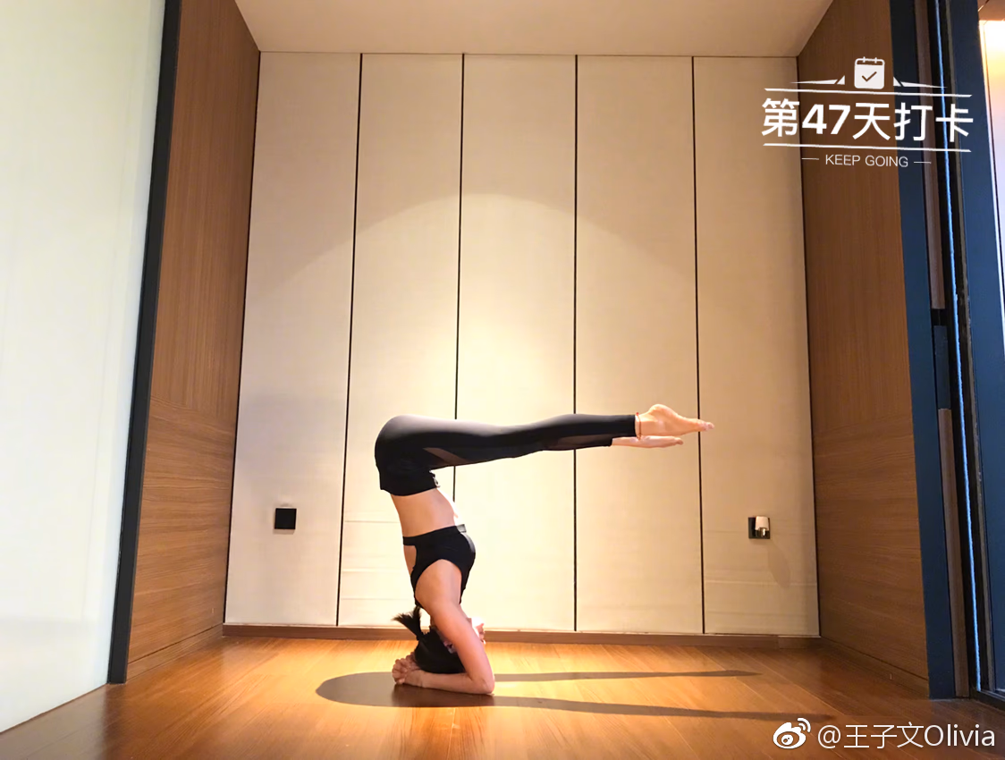 王子文 高清写真/照片下载 #813862