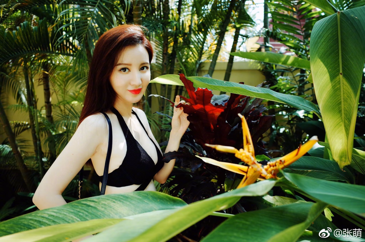 Meng Zhang HD画像/フォトギャラリーダウンロード #7021229