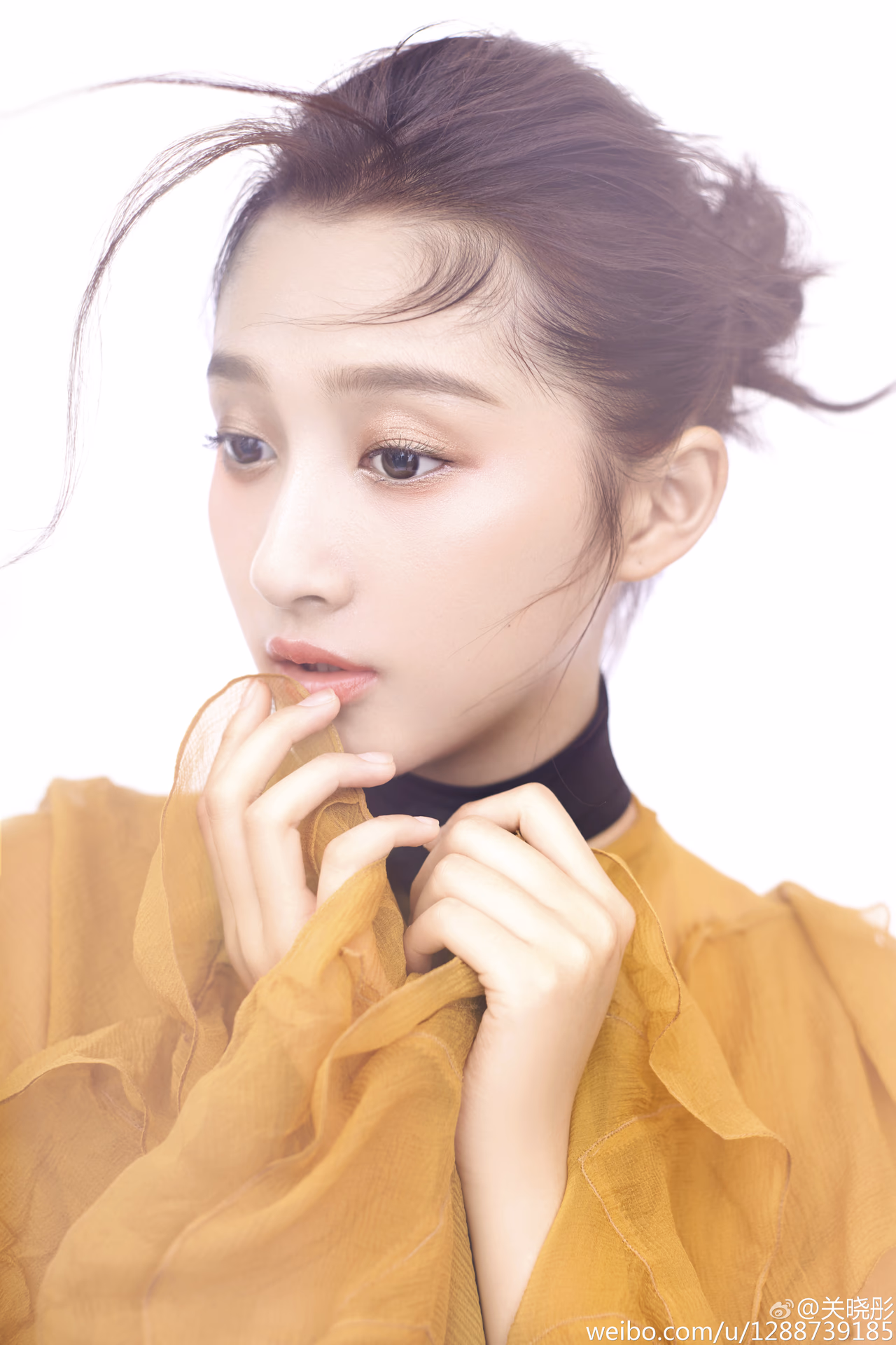 Xiaotong Guan HD Images/Photo Gallery Download #7096950