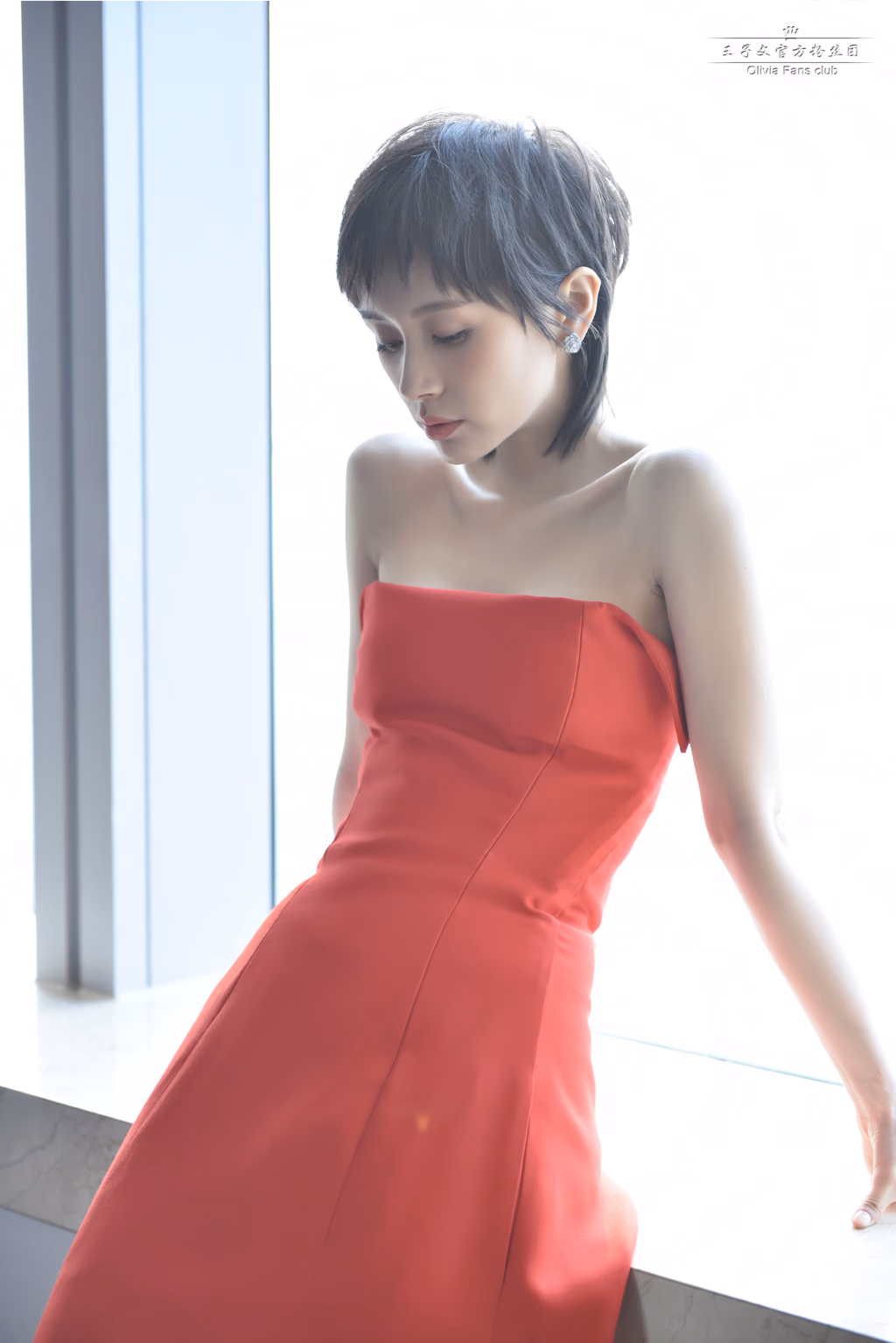 王子文 高清写真/照片下载 #813721