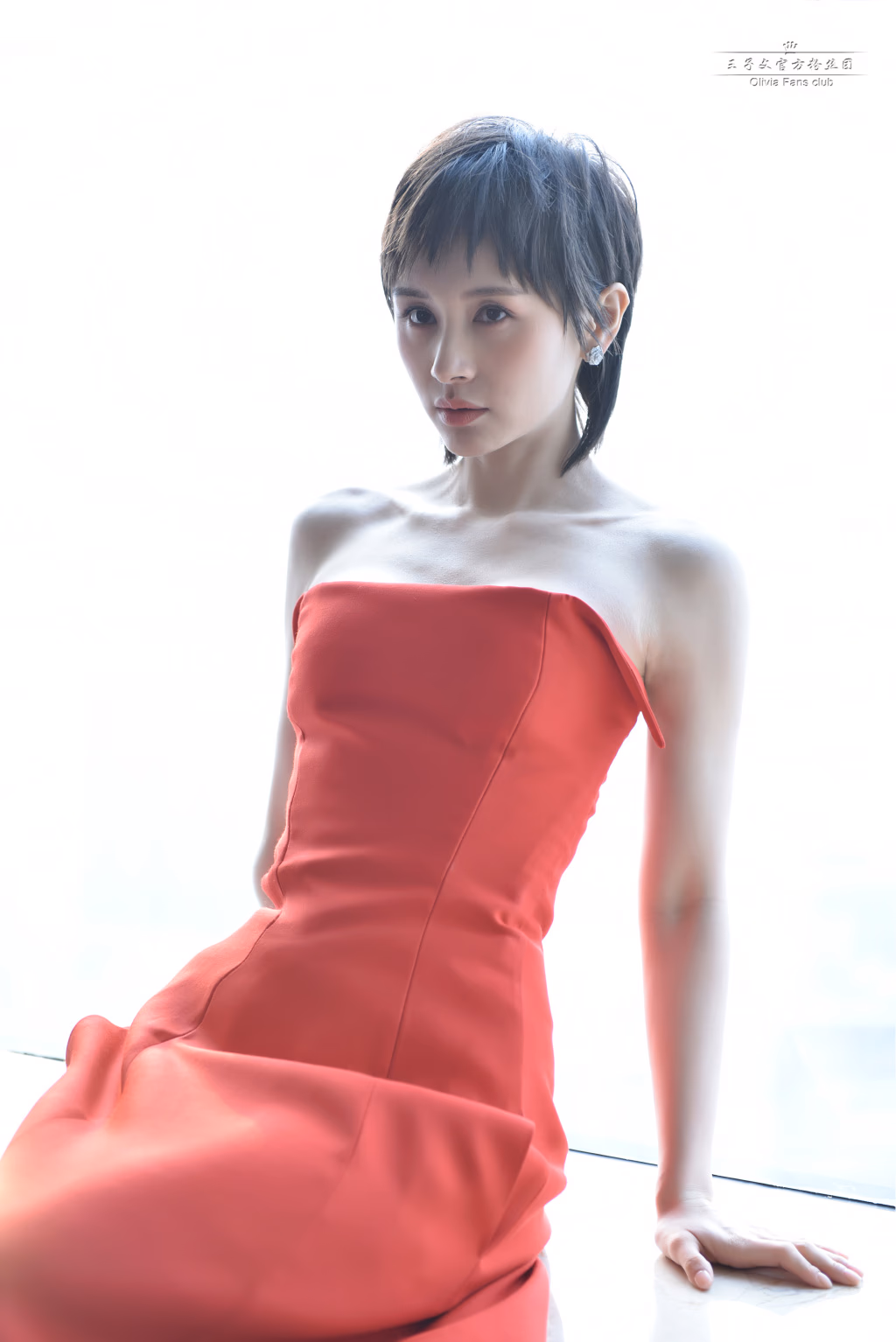 王子文 高清写真/照片下载 #813725