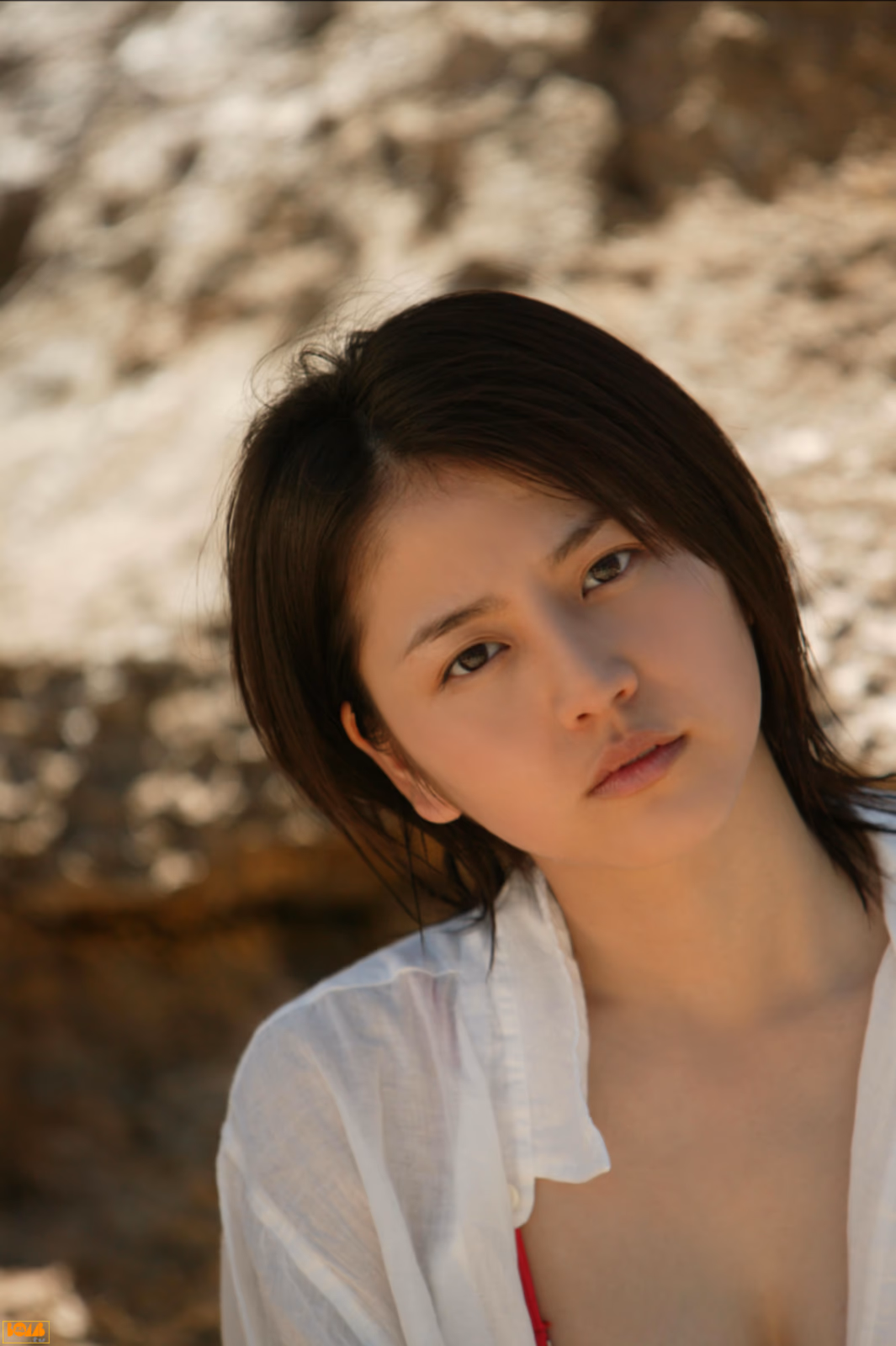 Masami Nagasawa HD Images/Photo Gallery Download #579401