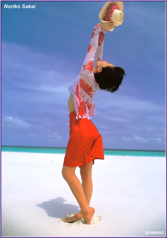 酒井法子 高清写真/照片下载 #9681783
