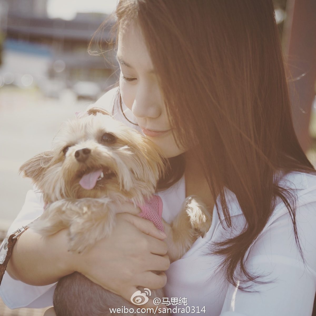 Sichun Ma HD Images/Photo Gallery Download #7047531