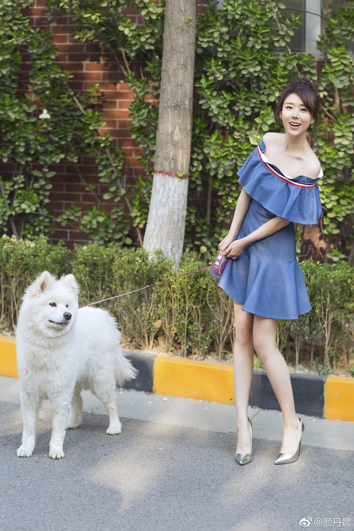 Danchen Yan HD Images/Photo Gallery Download #937041