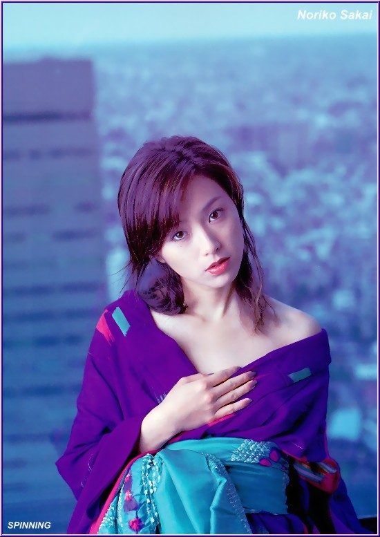 Noriko Sakai HD Images/Photo Gallery Download #9681596
