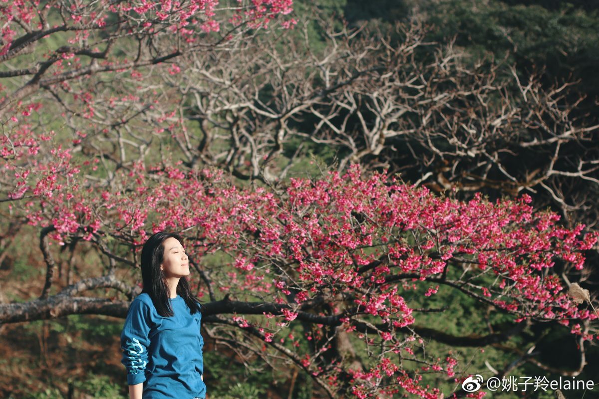 Elaine Yiu HD Images/Photo Gallery Download #1366926