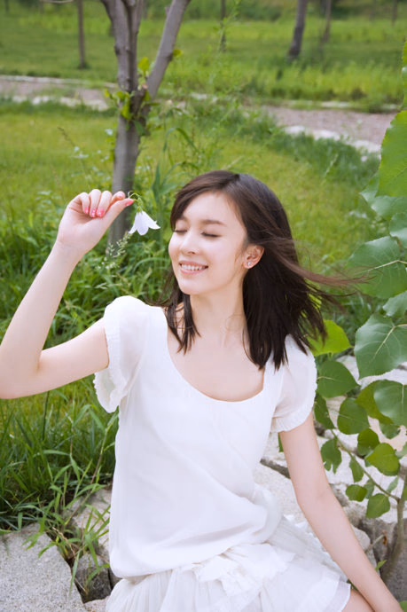 원비 HD 이미지/사진 갤러리 다운로드 #3354901