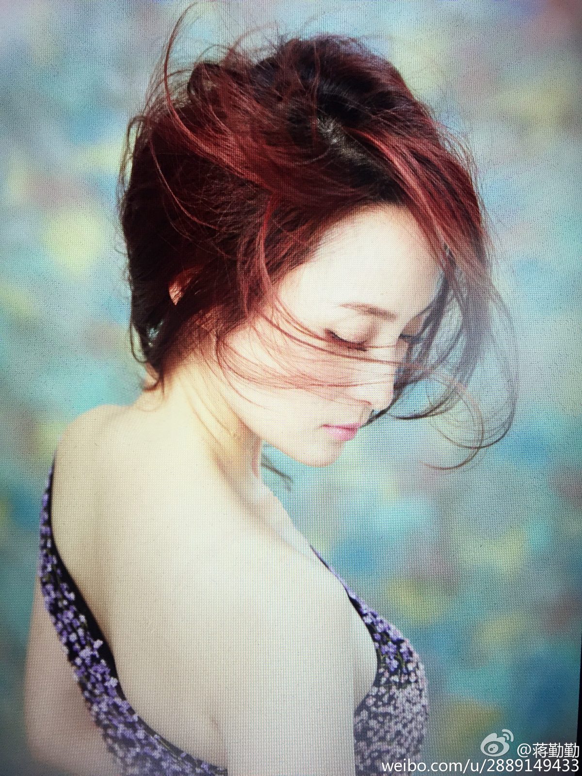 蒋勤勤 高清写真/照片下载 #1272891