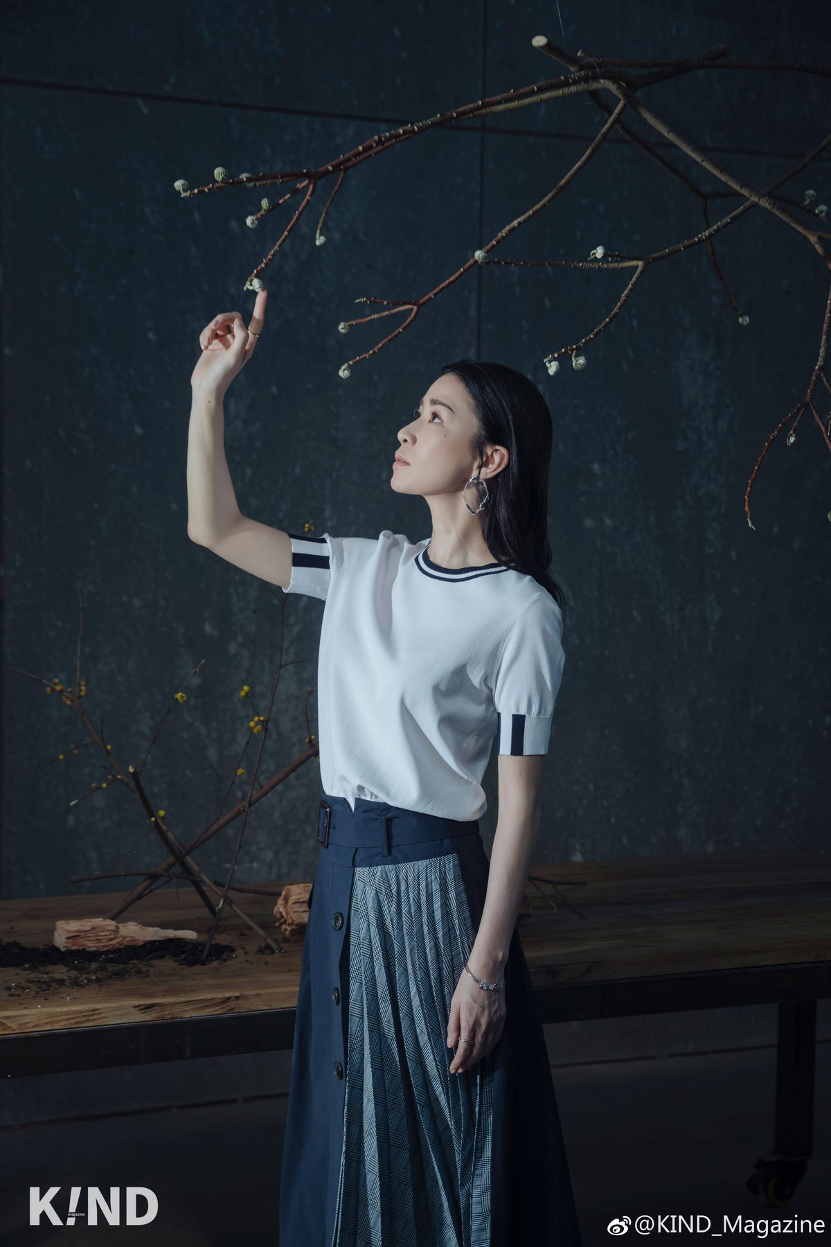 Charmaine Sheh HD Images/Photo Gallery Download #784044