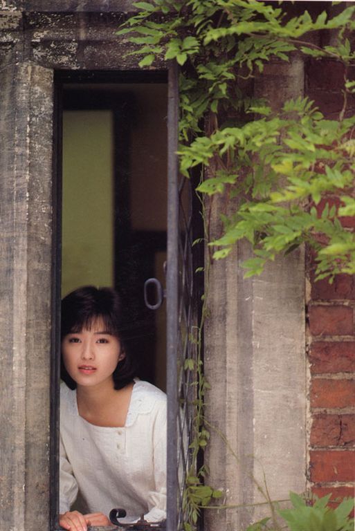 Noriko Sakai HD Images/Photo Gallery Download #5472828