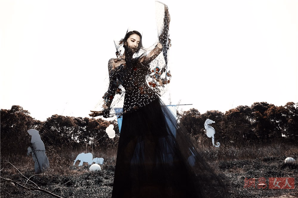 Weiwei Tan HD Images/Photo Gallery Download #3495381