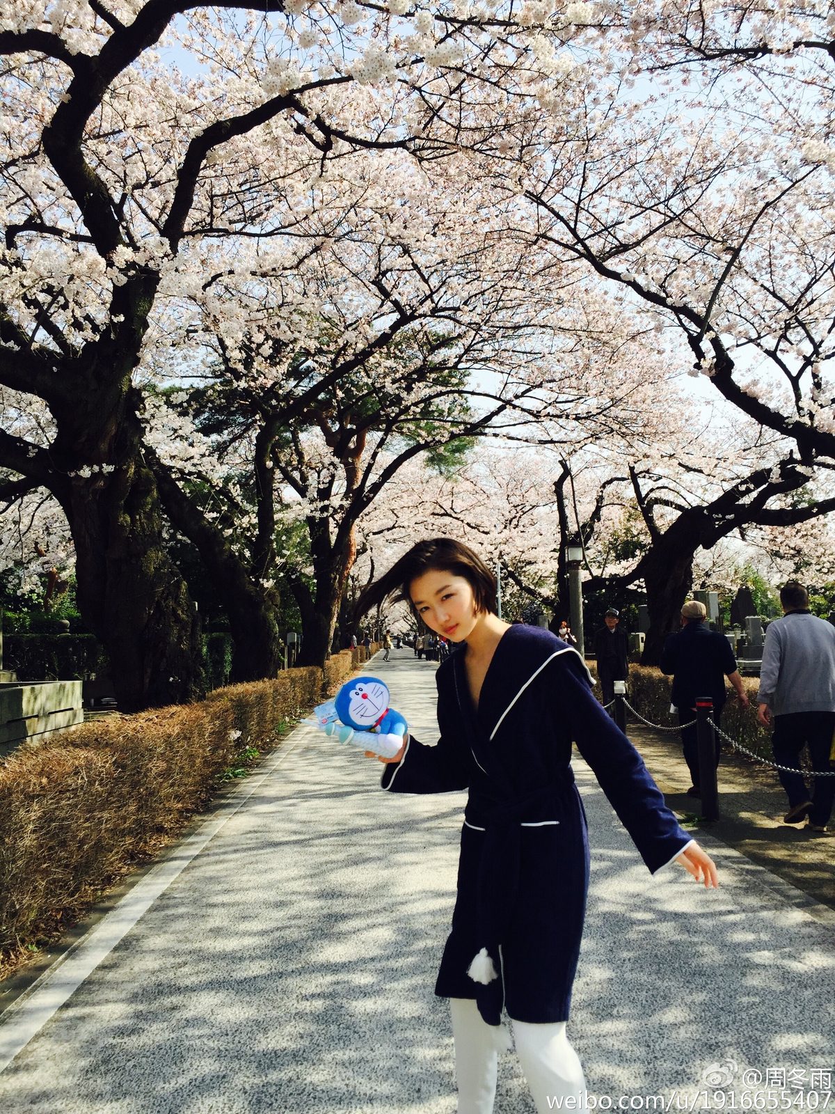 周冬雨 高清写真/照片下载 #1910876