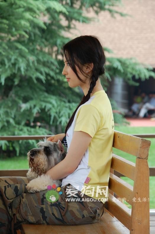 Liu Yifei HD Images/Photo Gallery Download #6670997