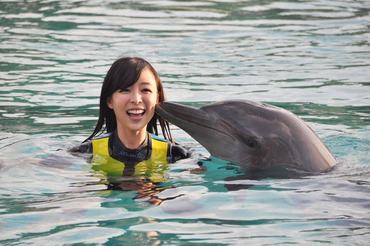 Jingchu Zhang HD Images/Photo Gallery Download #846897