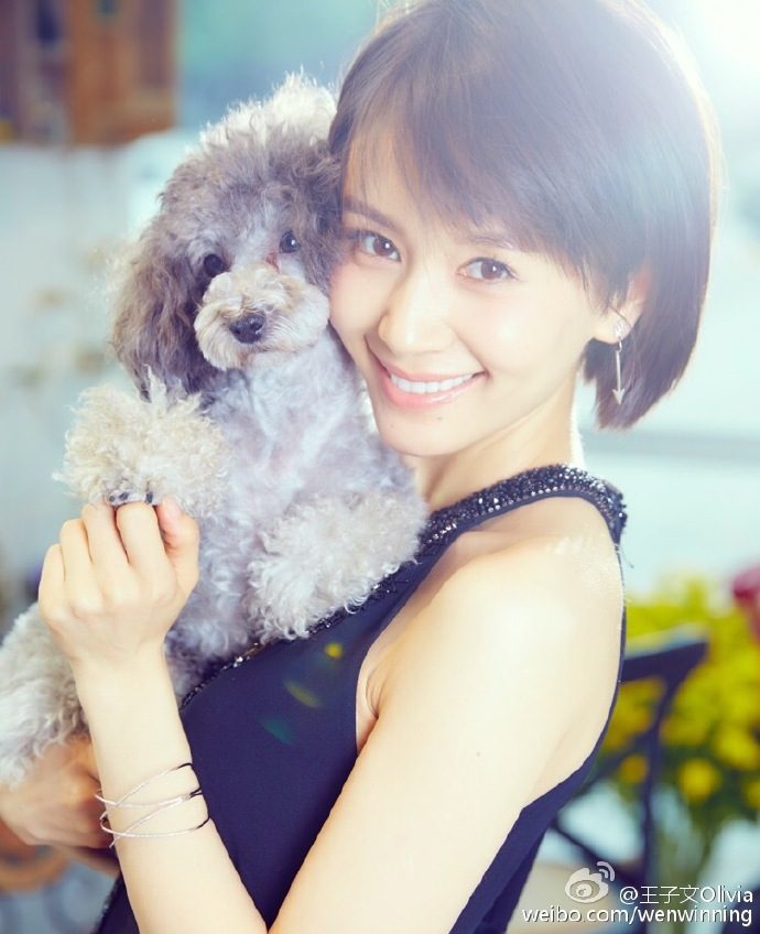 Ziwen Wang HD Images/Photo Gallery Download #813379