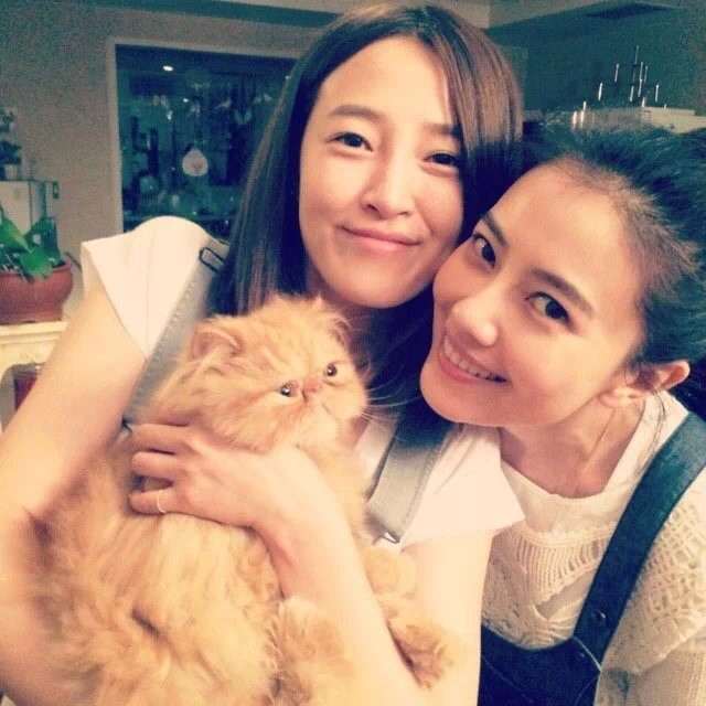 高圆圆 高清写真/照片下载 #670476