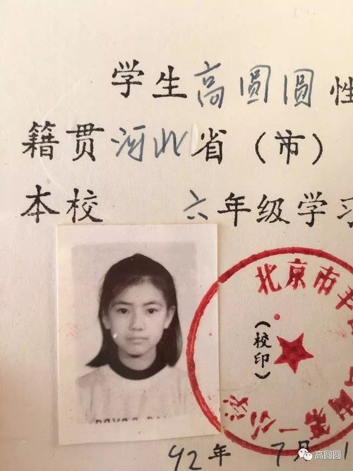 高圆圆 高清写真/照片下载 #661408