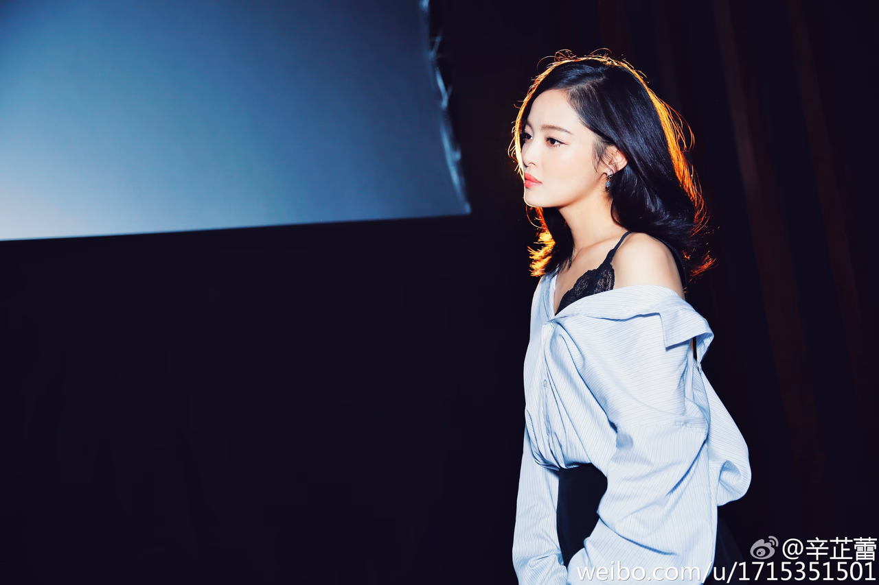 辛芷蕾 高清写真/照片下载 #3511118