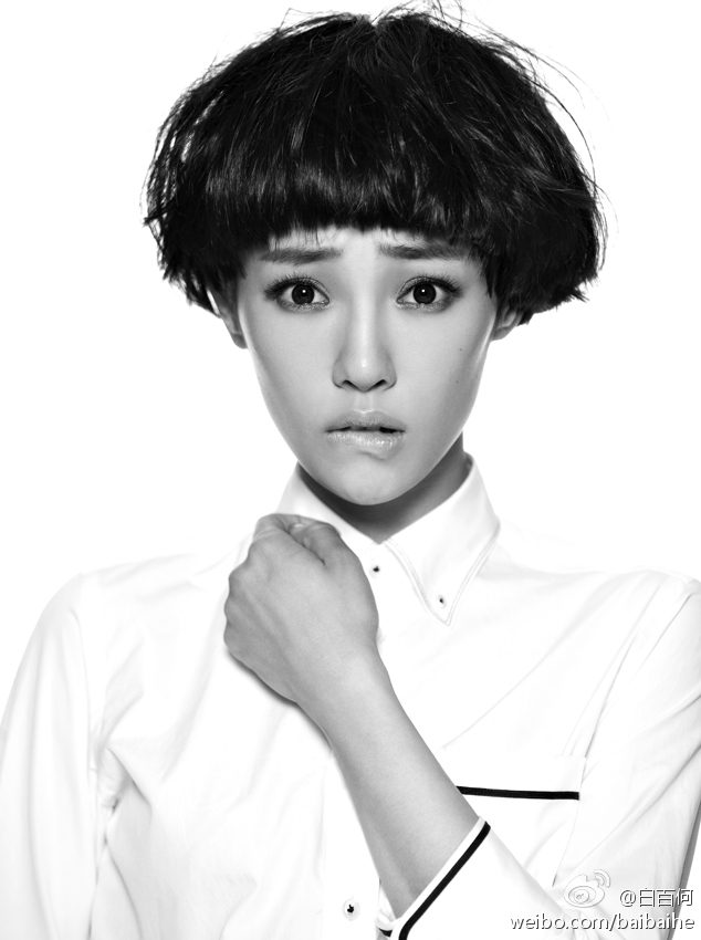 Baihe Bai HD Images/Photo Gallery Download #6976786