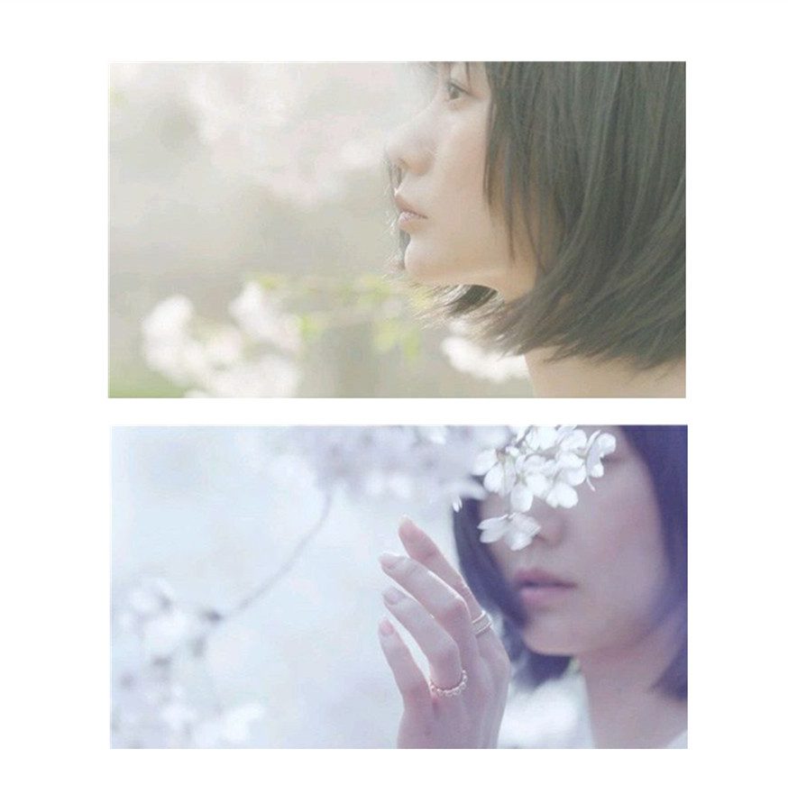 Bae Doona HD Images/Photo Gallery Download #1411793