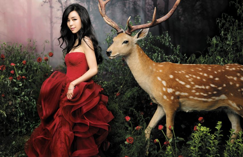 Jingchu Zhang HD Images/Photo Gallery Download #802646