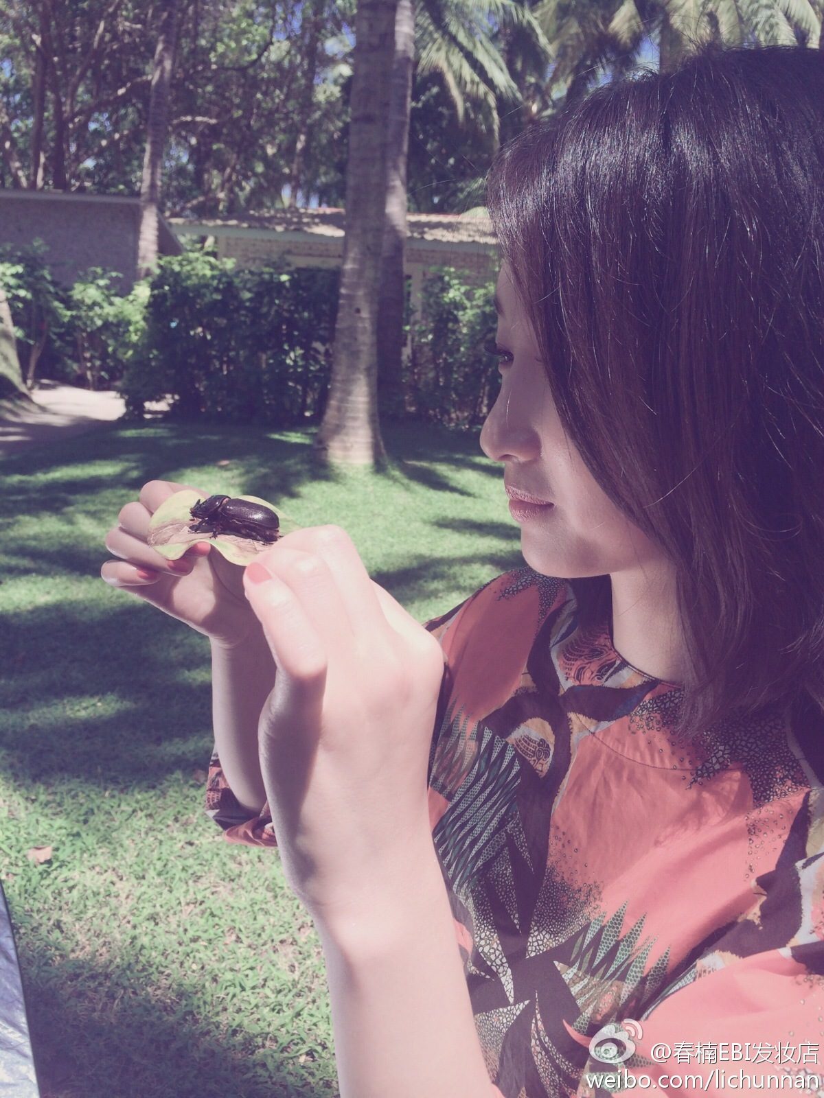 周冬雨 高清写真/照片下载 #1910442