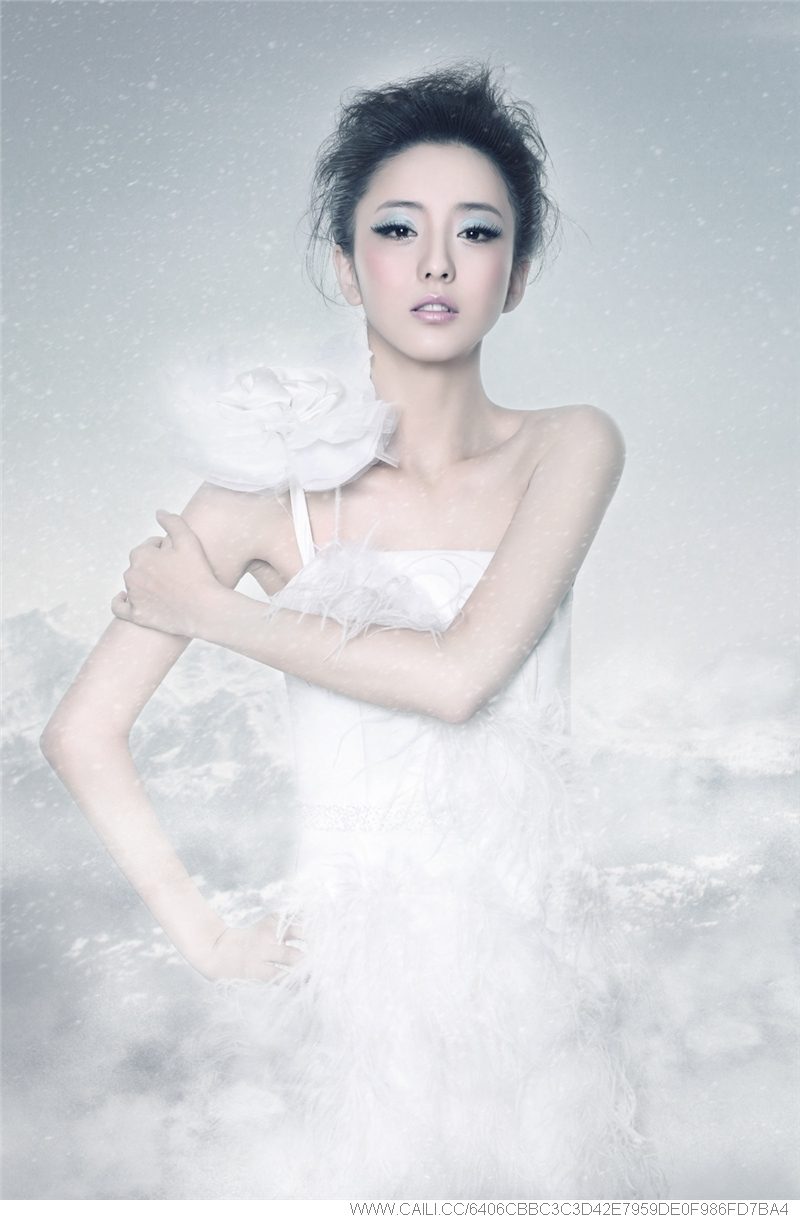 佟丽娅 高清写真/照片下载 #7094158