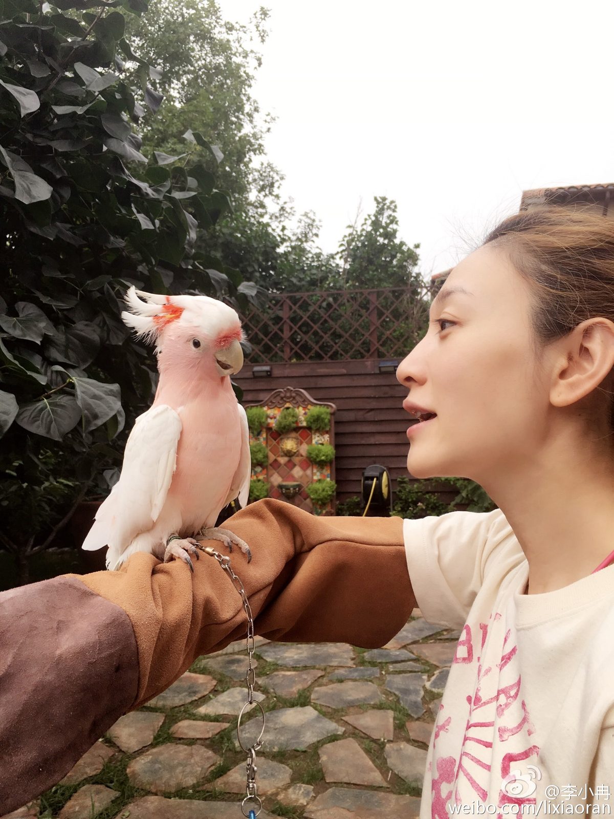 Xiaoran Li HD Images/Photo Gallery Download #1837203