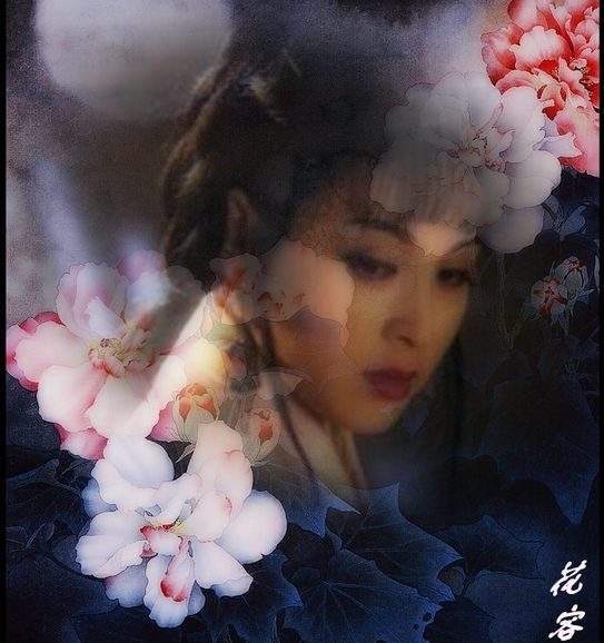 Mingming Zhao HD Images/Photo Gallery Download #6997345