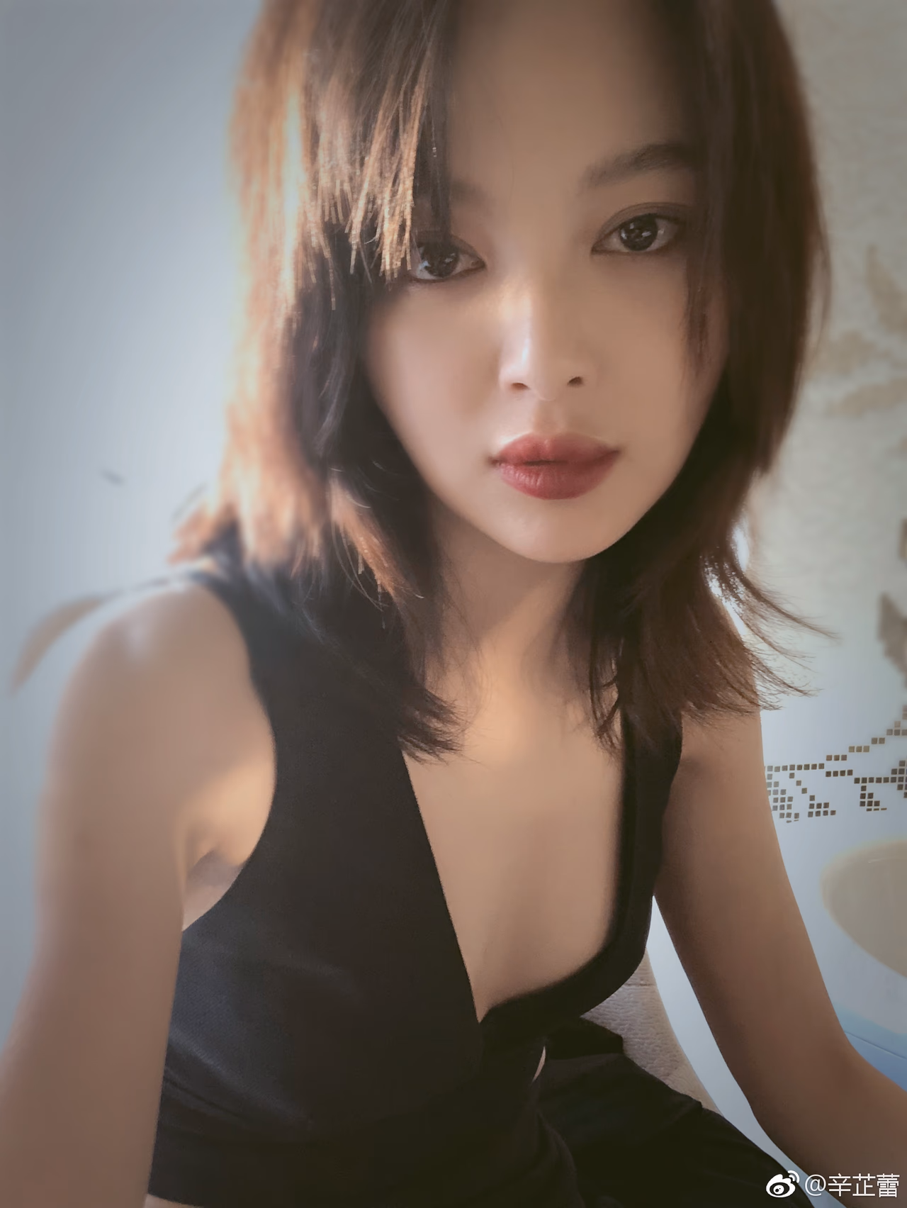 辛芷蕾 高清写真/照片下载 #3468619
