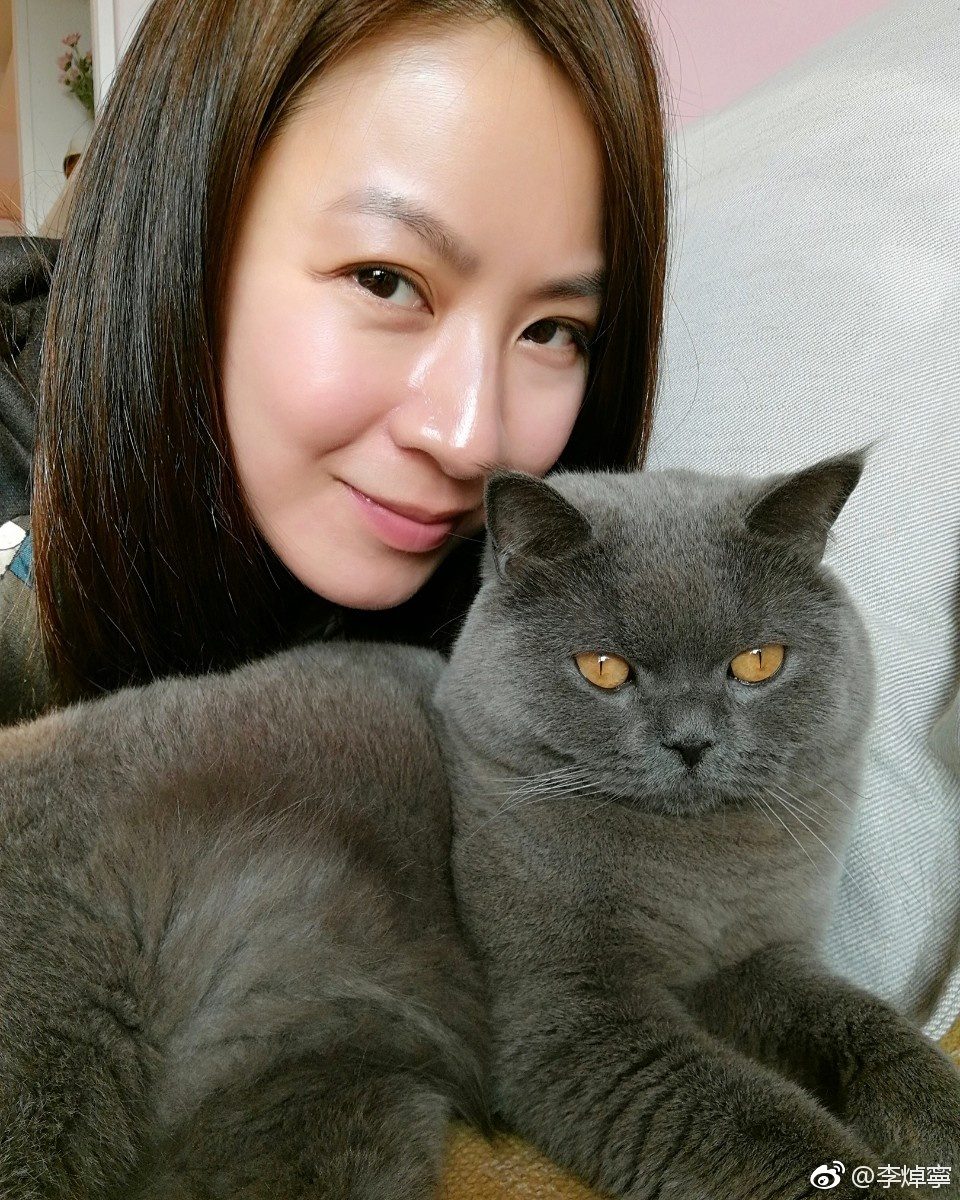 Choi-ning Lee HD Images/Photo Gallery Download #1772740
