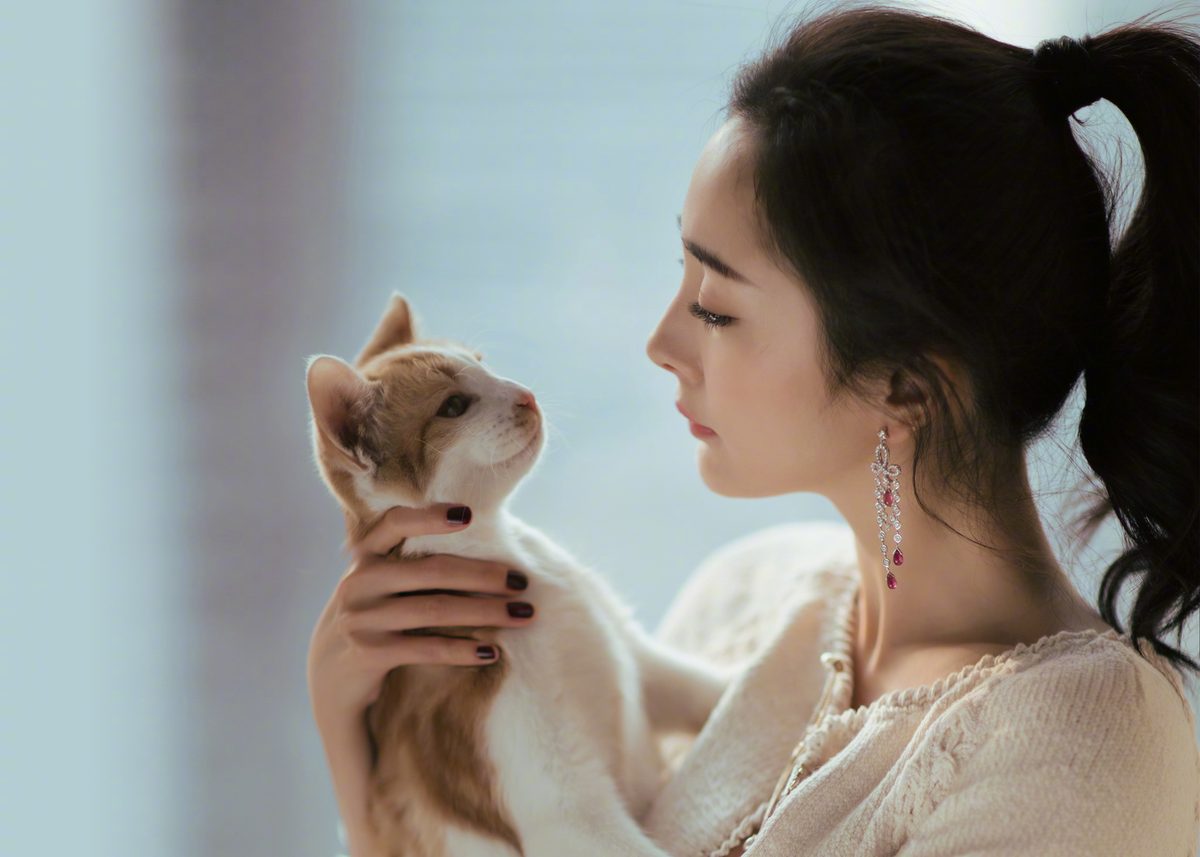 Mi Yang HD Images/Photo Gallery Download #1491464