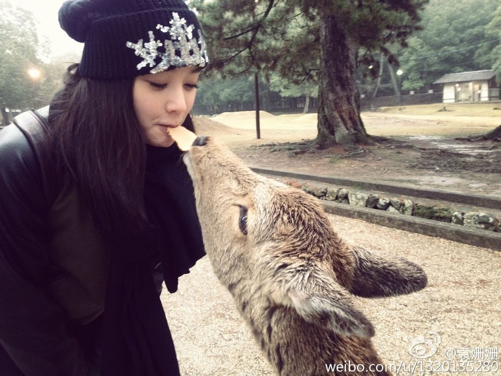 Shanshan Yuan HD Images/Photo Gallery Download #2027080