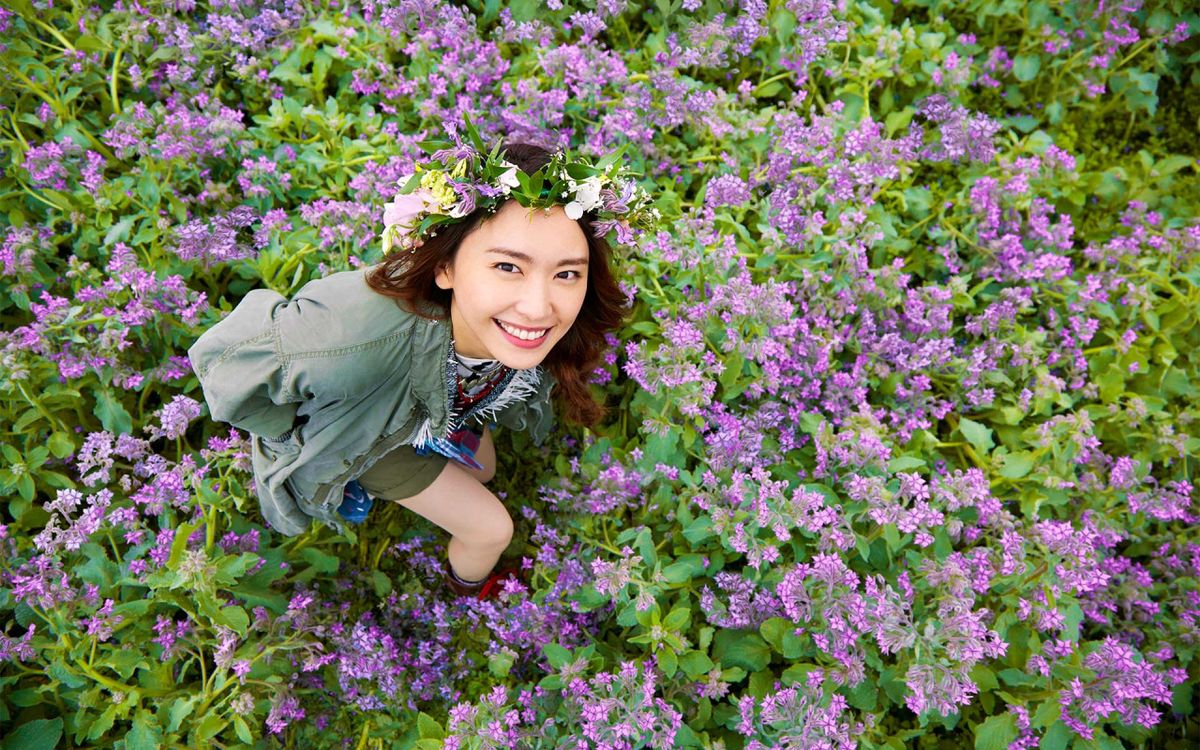 Yui Aragaki HD Images/Photo Gallery Download #1850367