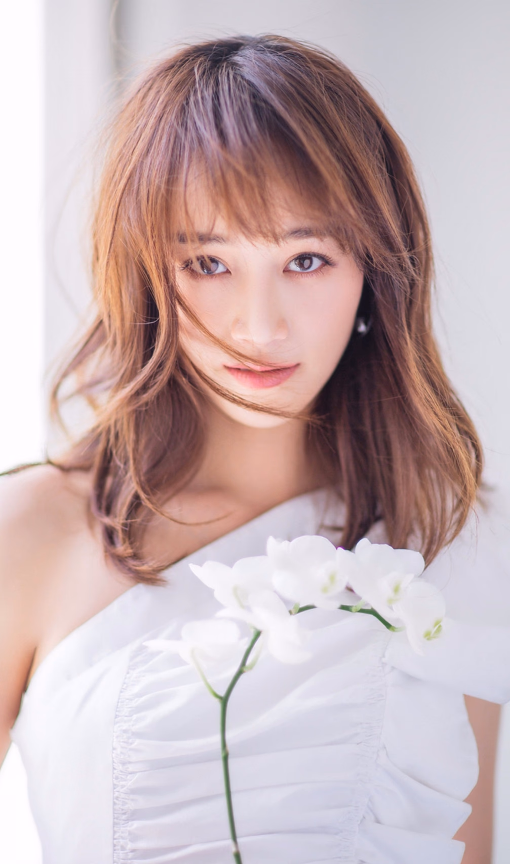 蓝盈莹 高清写真/照片下载 #3411030