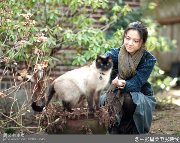 Tang Wei HD Images/Photo Gallery Download #838650