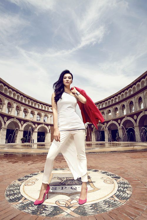Monica Siu-Kei Mok HD Images/Photo Gallery Download #6957687
