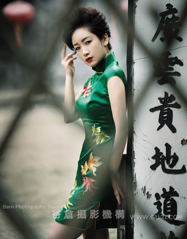 진해로 HD 이미지/사진 갤러리 다운로드 #1929391