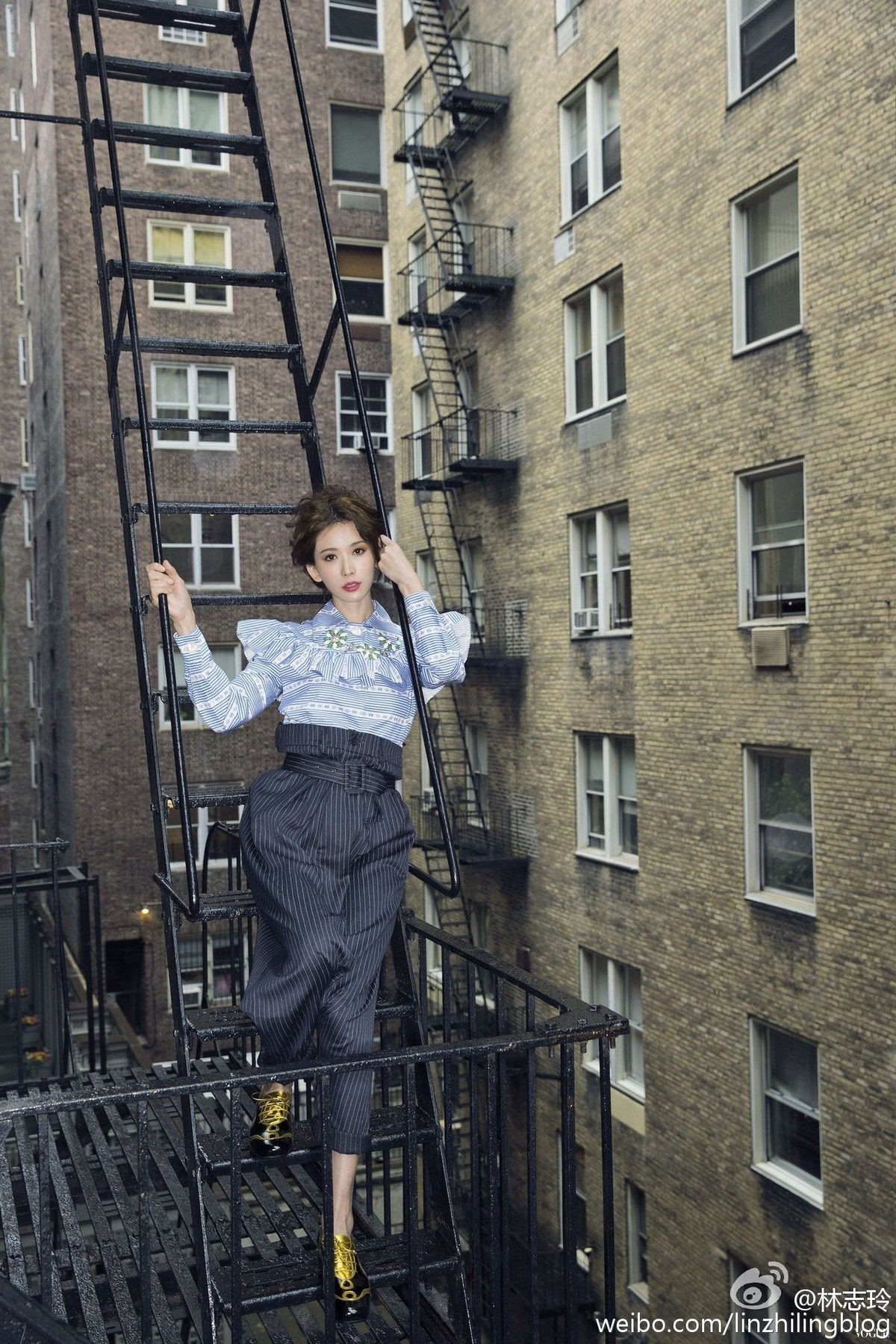 Chi-Ling Lin HD Images/Photo Gallery Download #1677103
