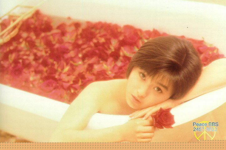 Noriko Sakai HD Images/Photo Gallery Download #5472623