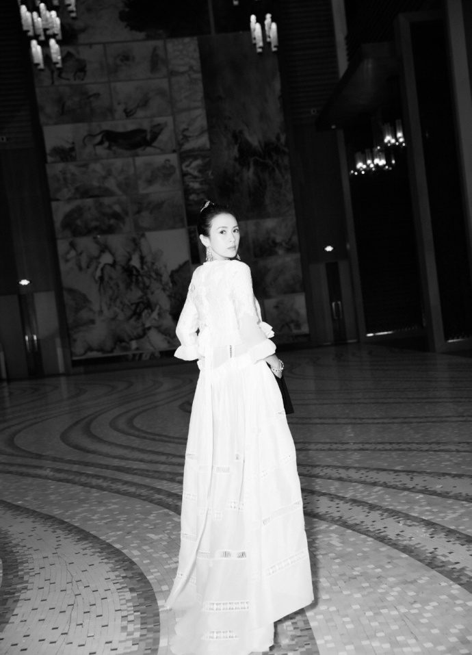 Ziyi Zhang HD Images/Photo Gallery Download #1042133