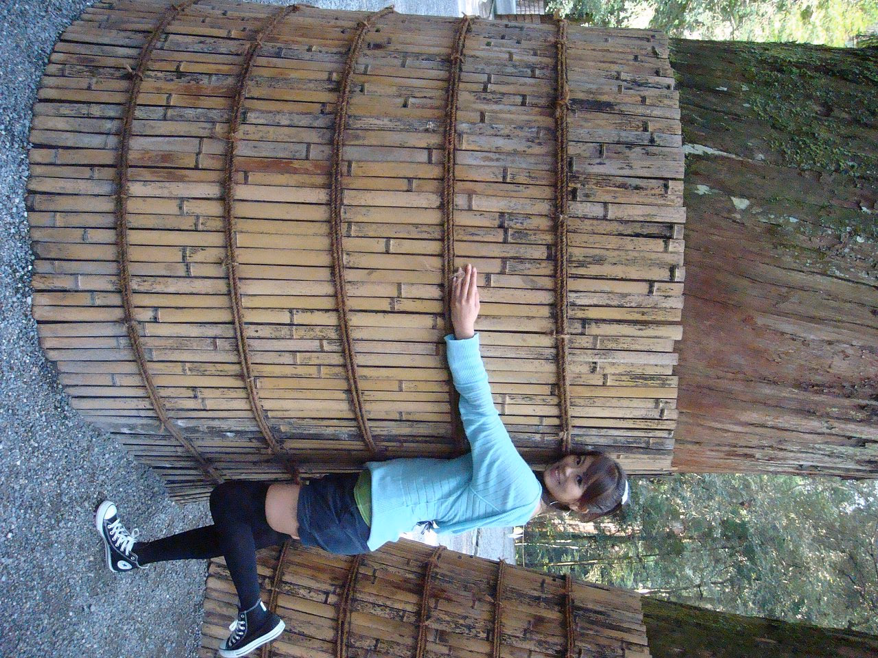 刘香慈 高清写真/照片下载 #3323609