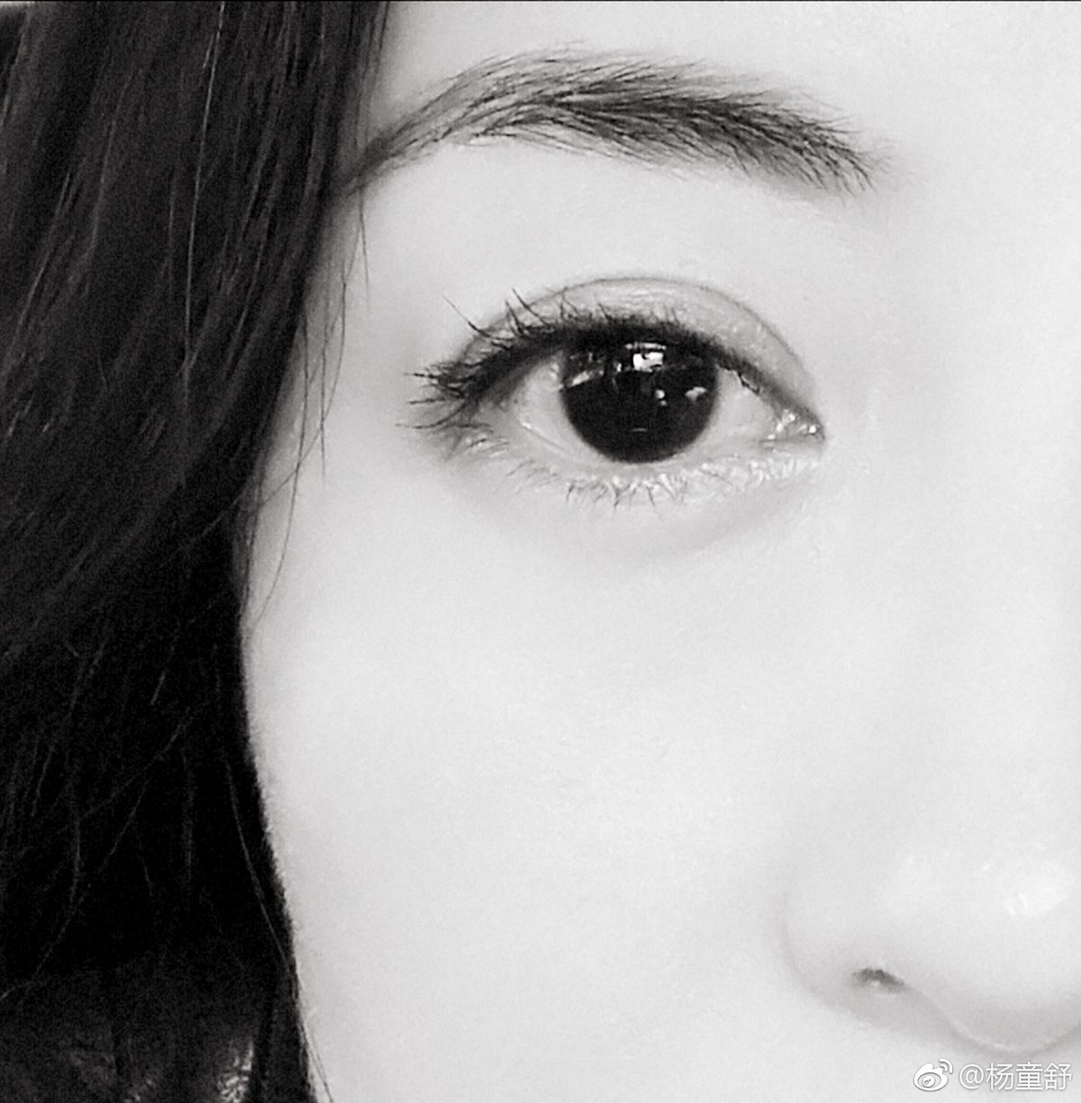 양동서 HD 이미지/사진 갤러리 다운로드 #2076335