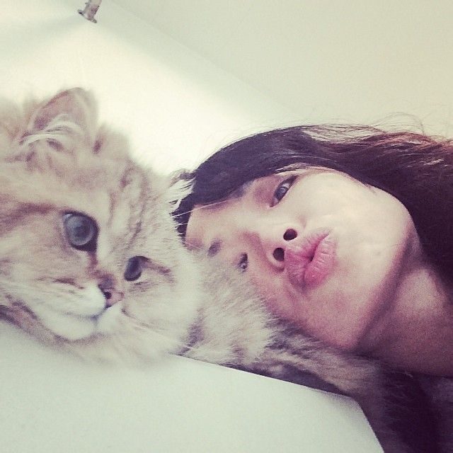 Shu Qi HD Images/Photo Gallery Download #6722533